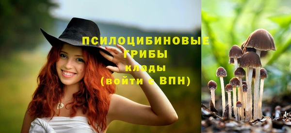 бошки Абаза