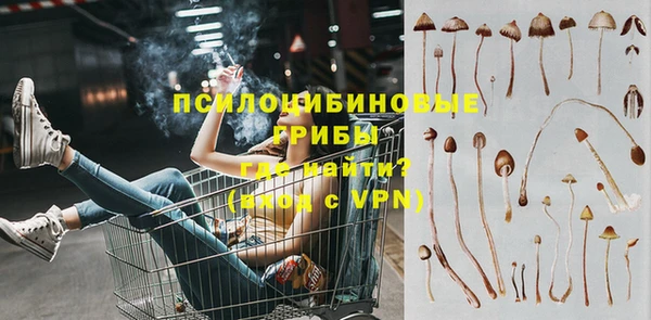 бошки Абаза