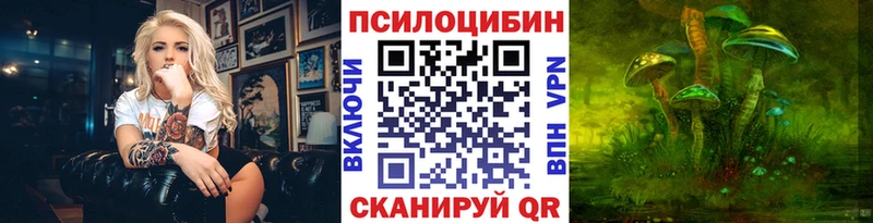 блэк спрут ссылки  Шилка  Псилоцибиновые грибы Psilocybine cubensis 